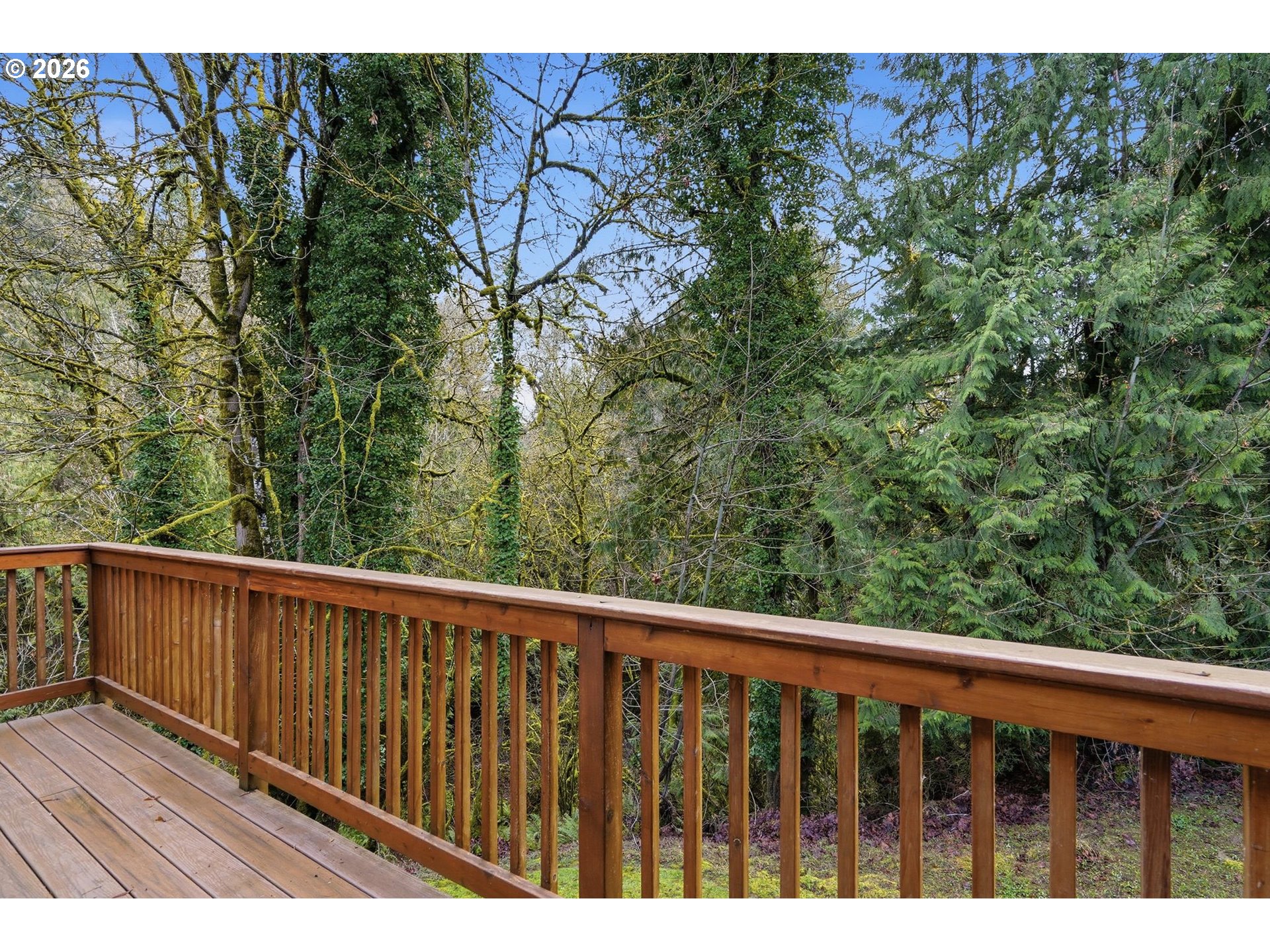 Photo #31: 581691336 Listing: Photo #31