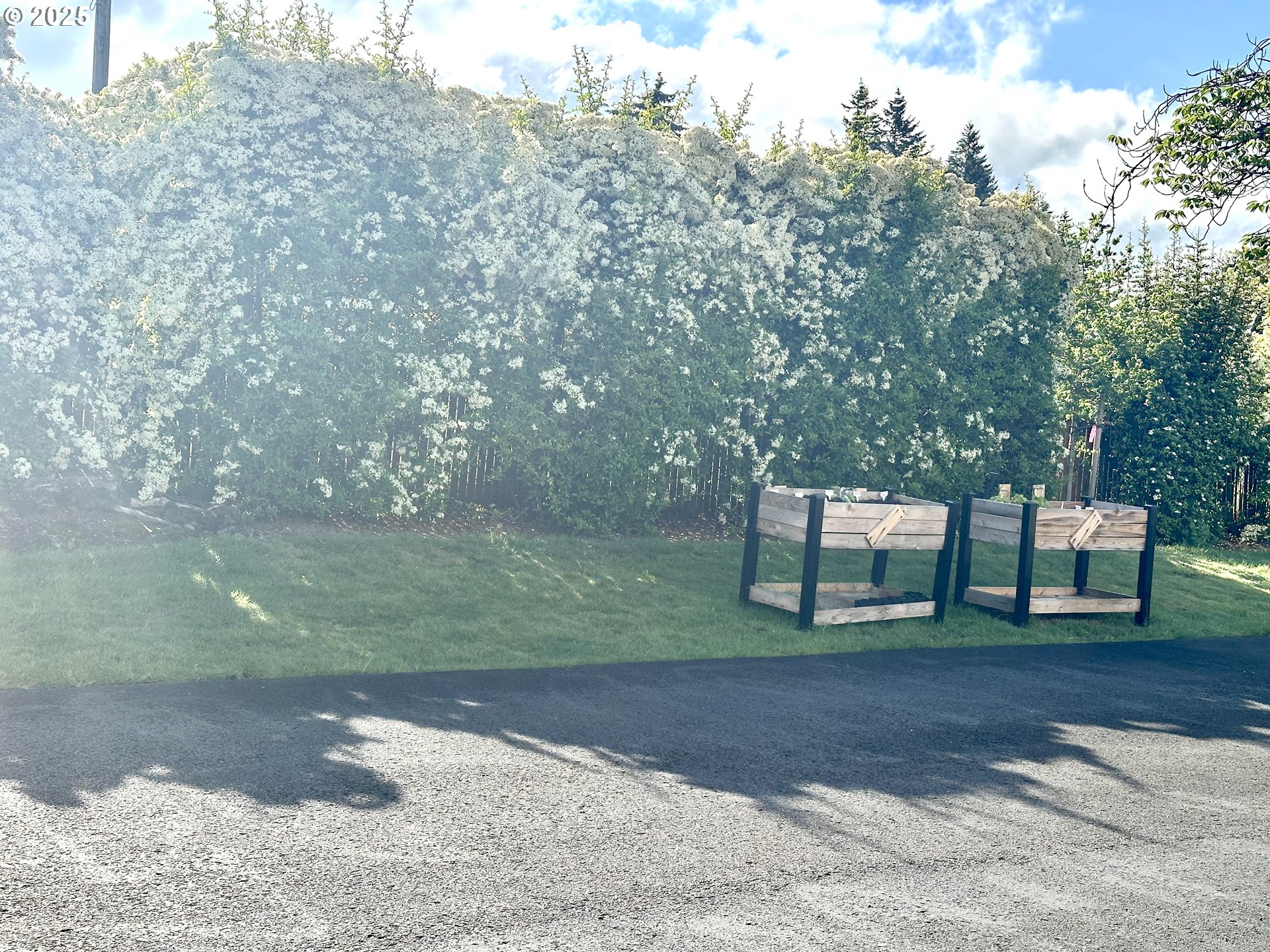 Photo #19: 581992465 Listing: Photo #19