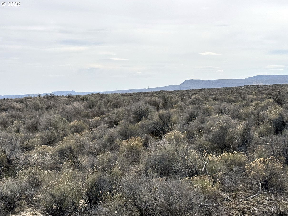 Search Homes for Sale