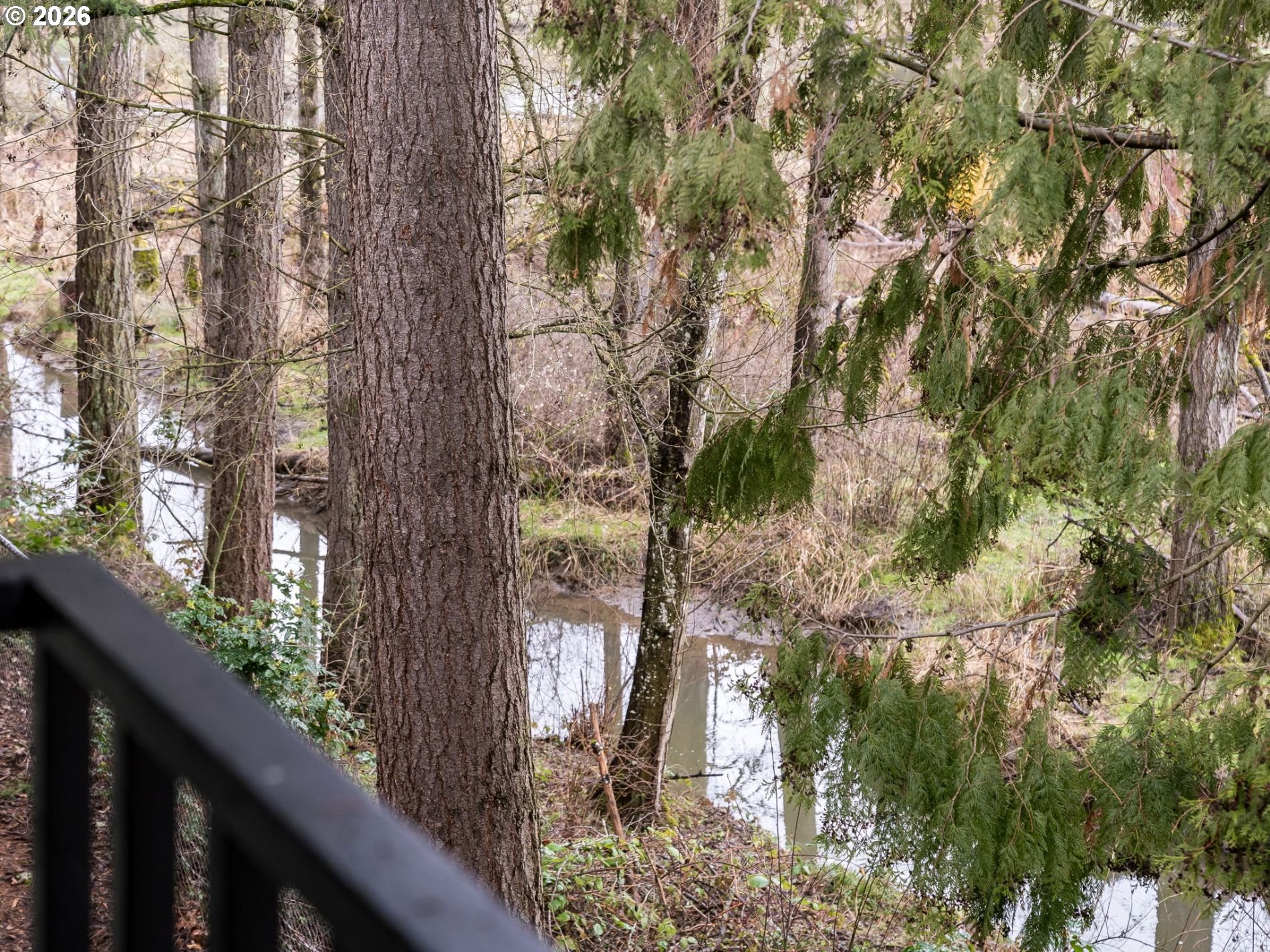 Photo #15: 582330558 Listing: Photo #15