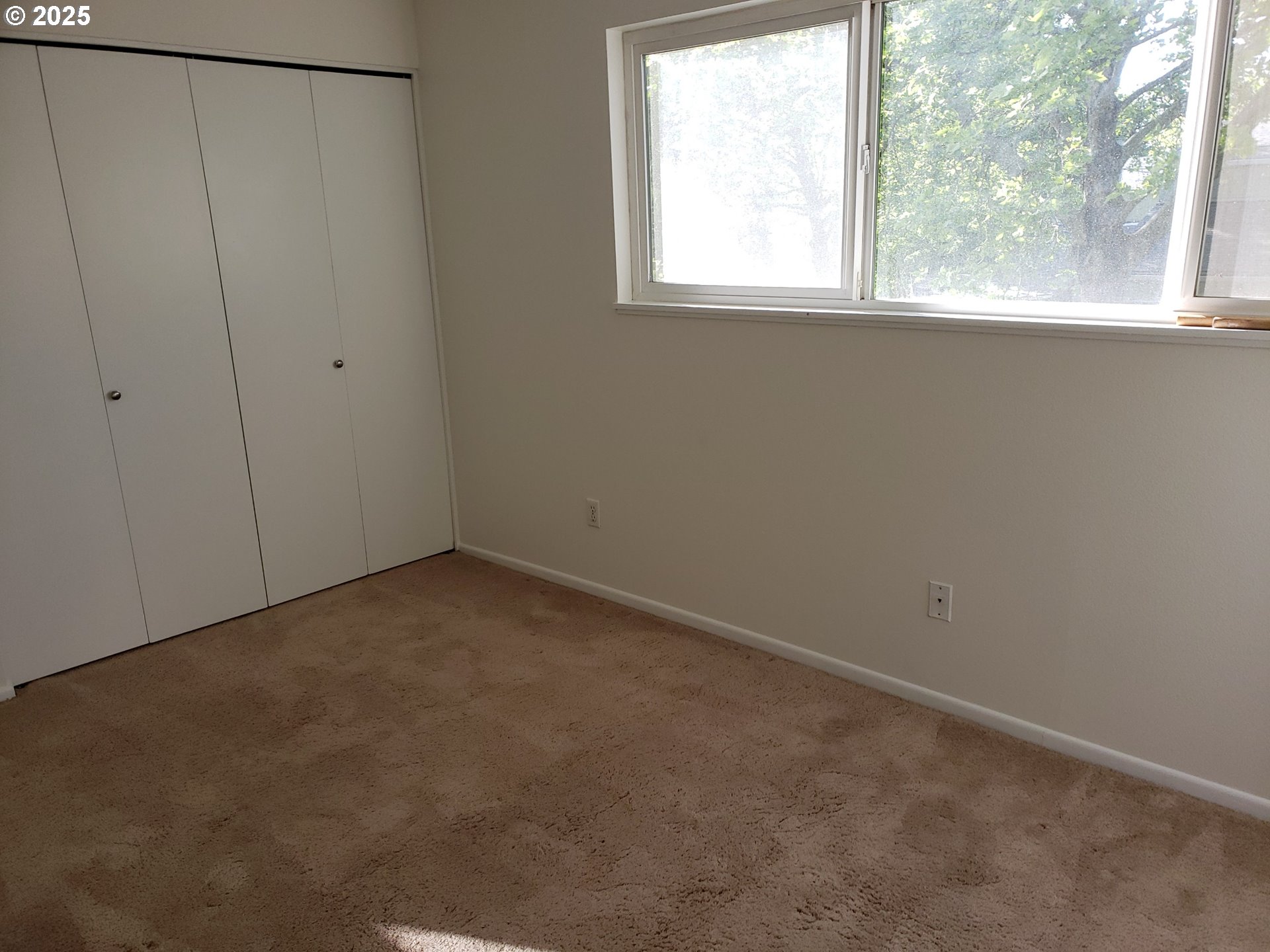 Photo #11: 586219077 Listing: Photo #11