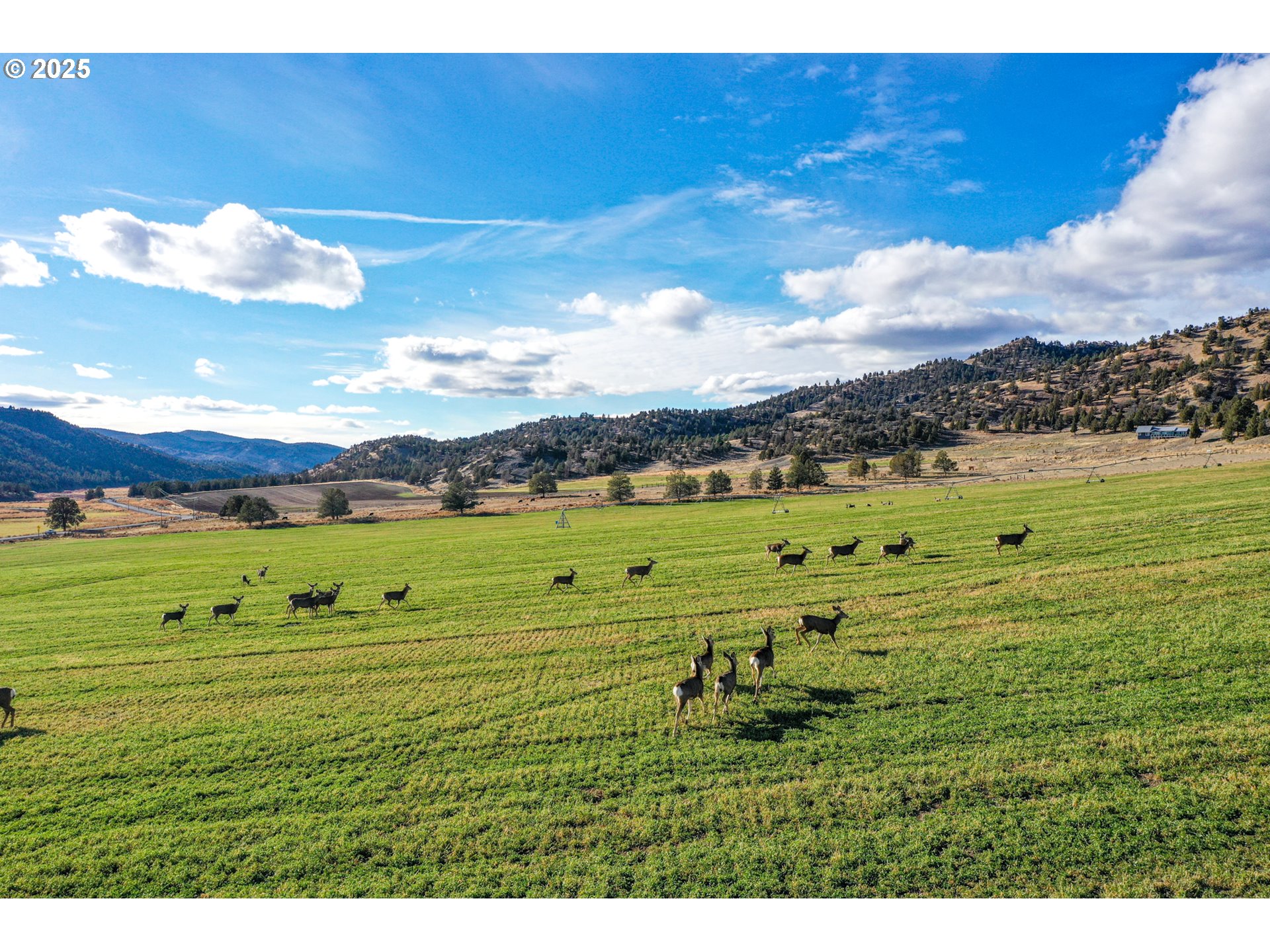 28000 SE PAULINA HWY, Prineville, OR, 97754
