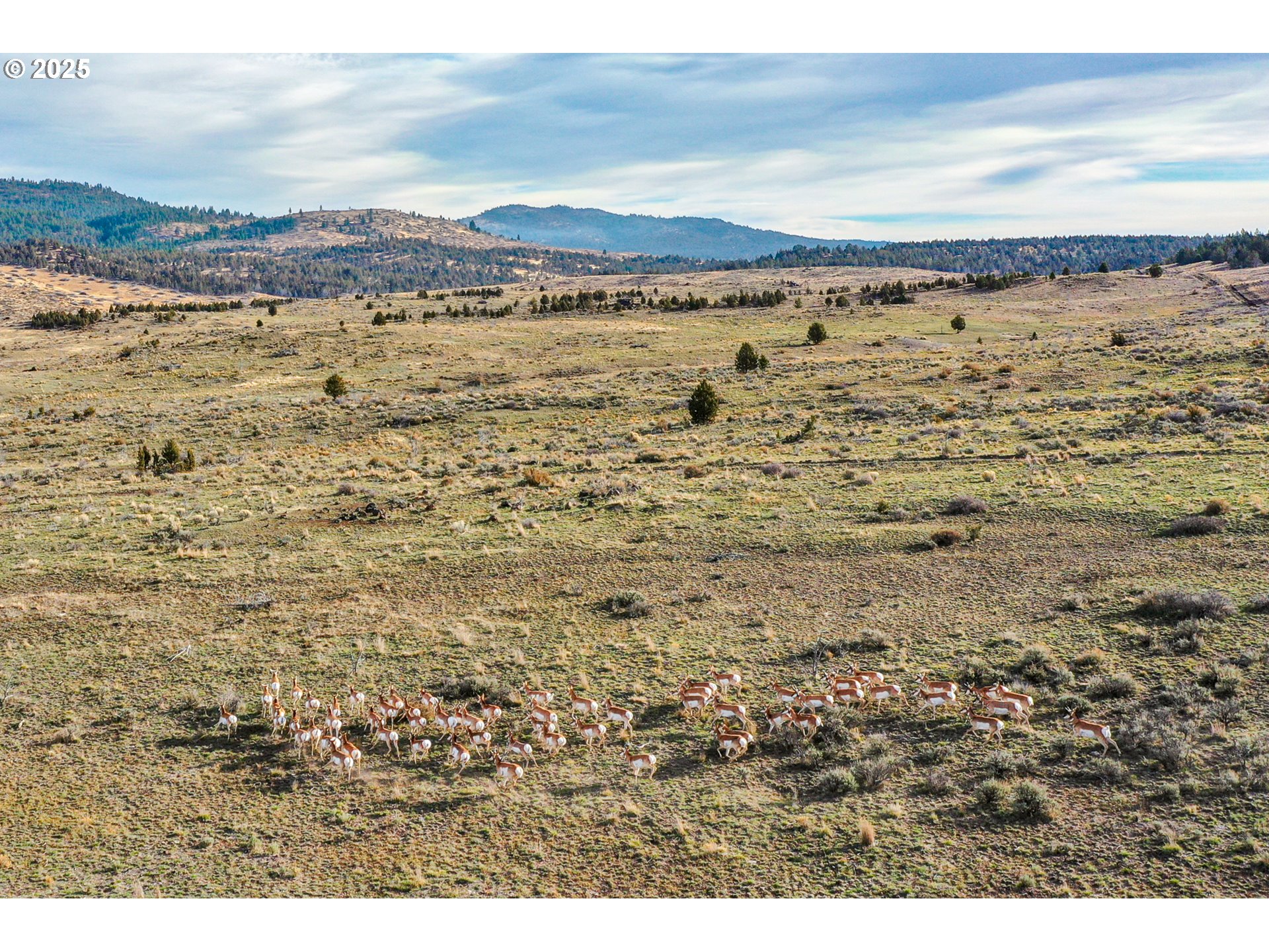28000 SE PAULINA HWY, Prineville, OR, 97754