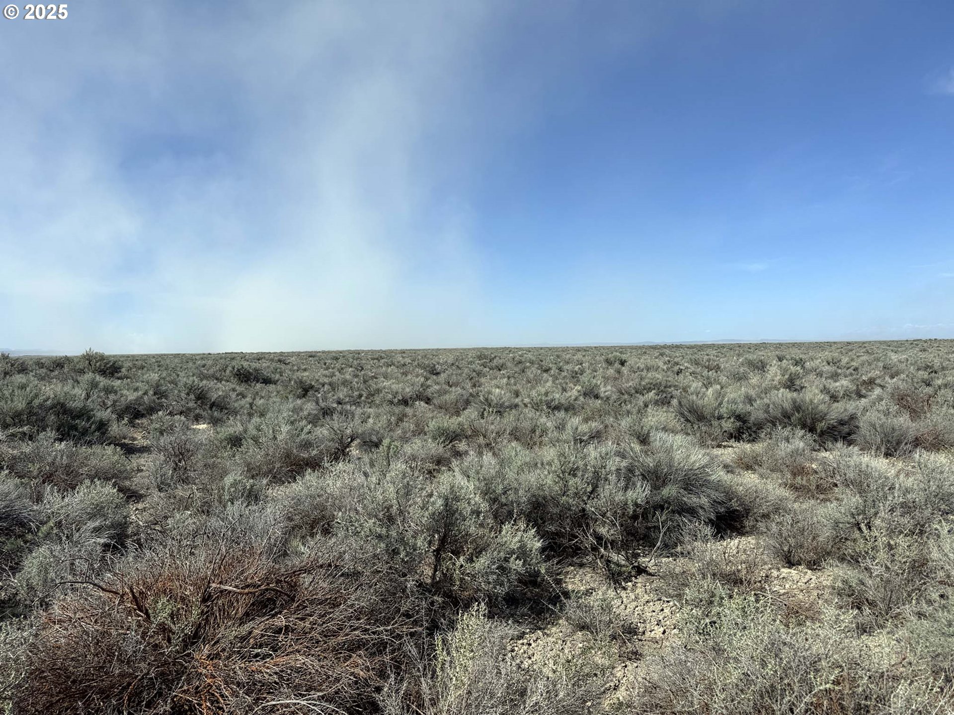 Search Homes for Sale