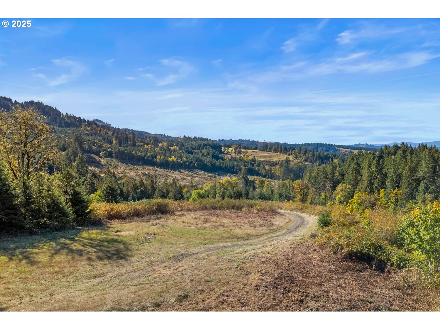 37251 SW THIMBLEBERRY DR, Gaston, OR, 97119