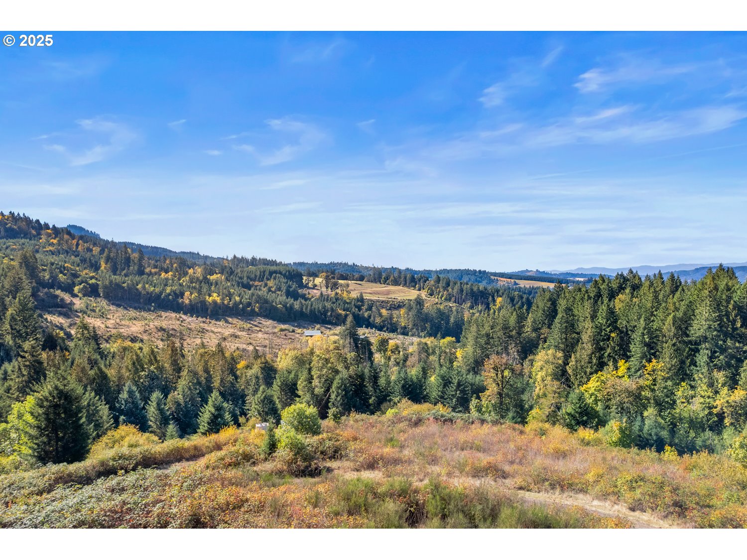 37251 SW THIMBLEBERRY DR, Gaston, OR, 97119