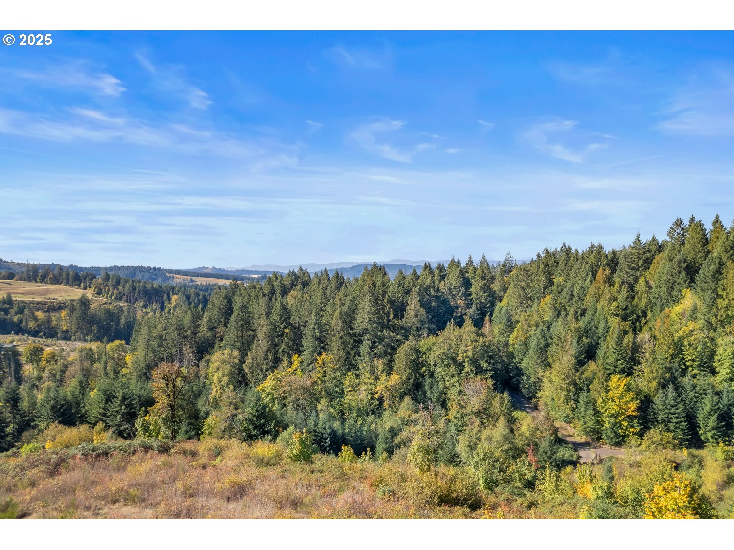 37251 SW THIMBLEBERRY DR, Gaston, OR, 97119