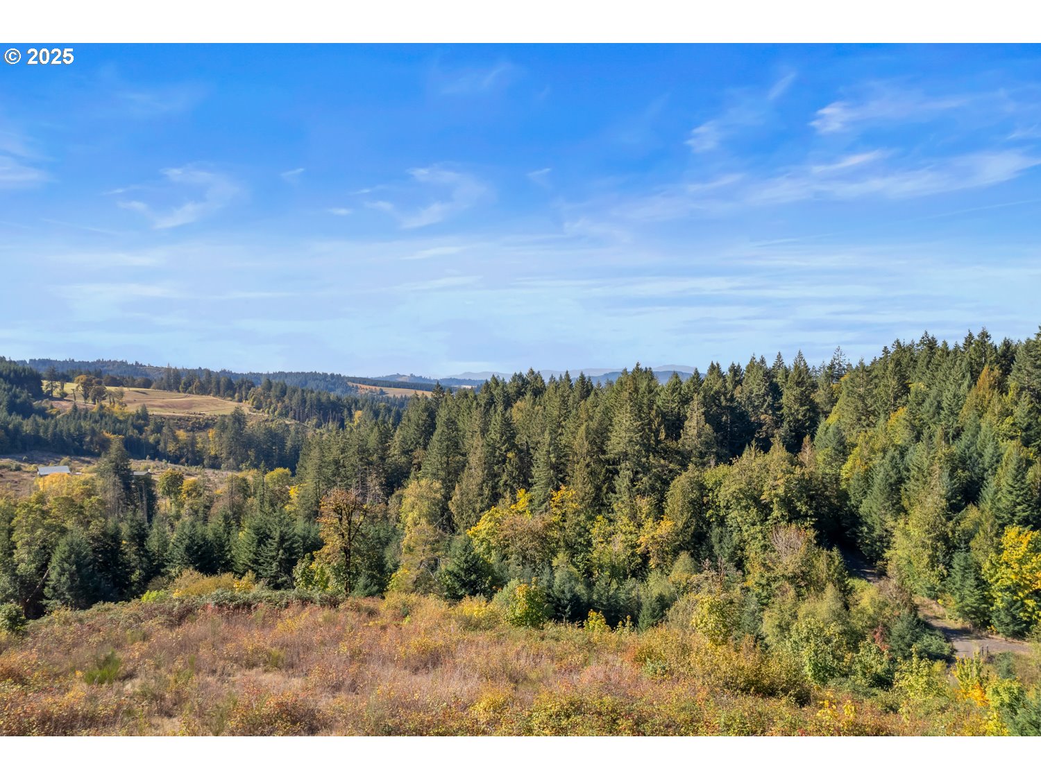 37251 SW THIMBLEBERRY DR, Gaston, OR, 97119
