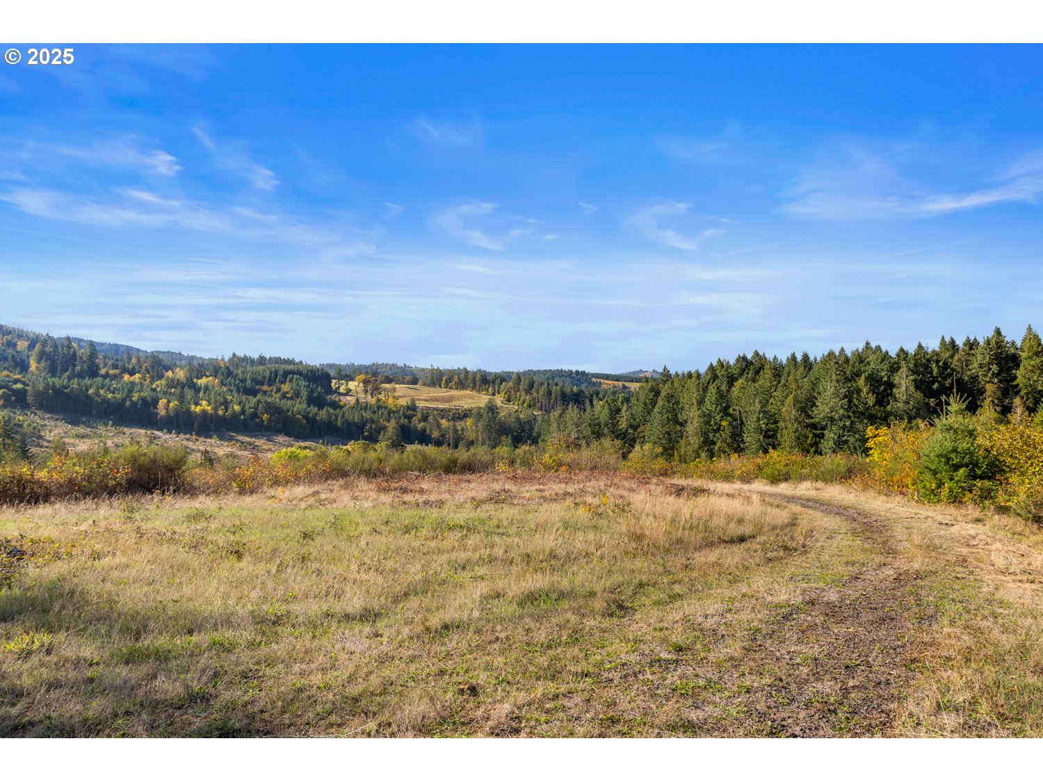 37251 SW THIMBLEBERRY DR, Gaston, OR, 97119