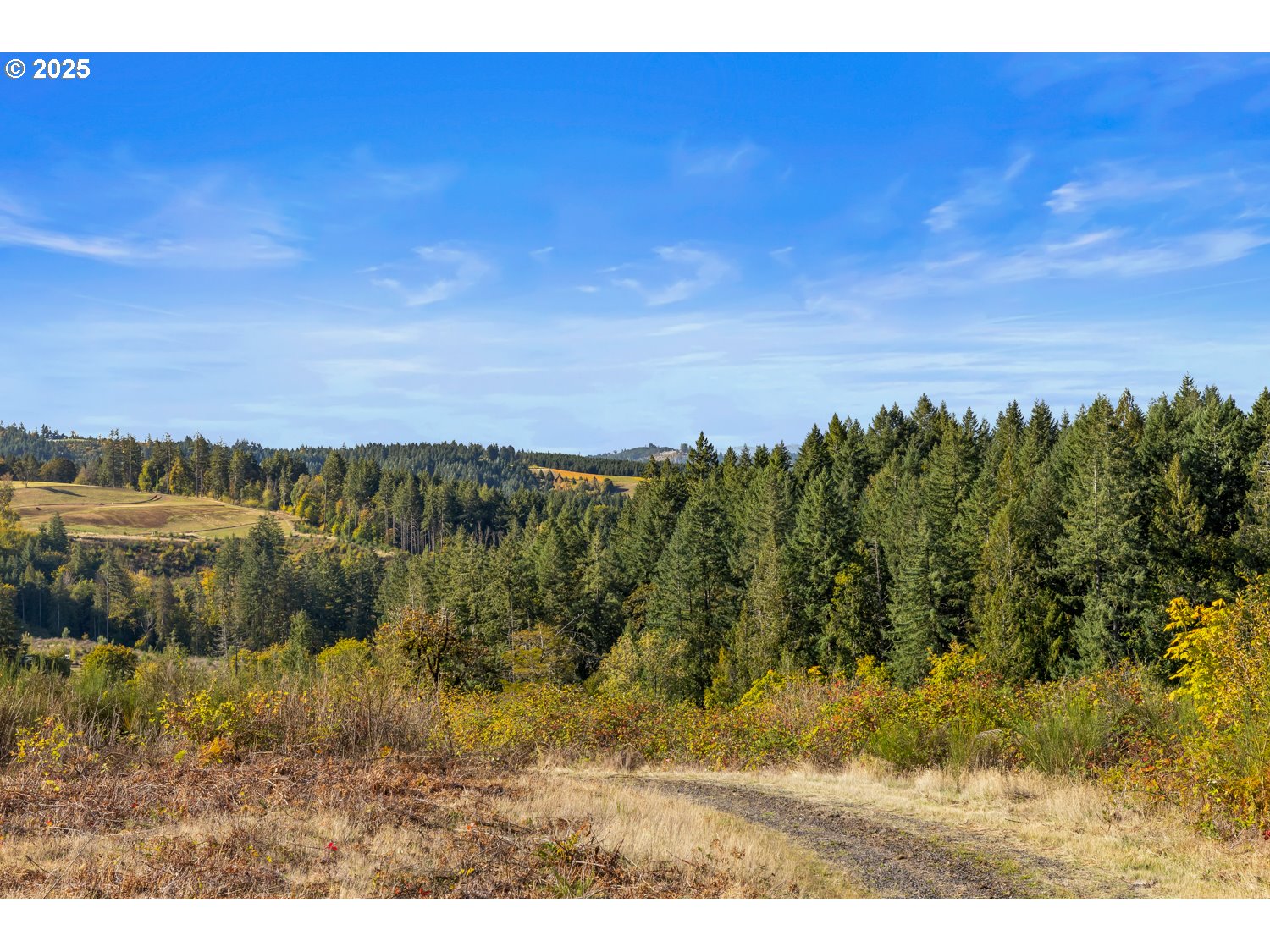 37251 SW THIMBLEBERRY DR, Gaston, OR, 97119