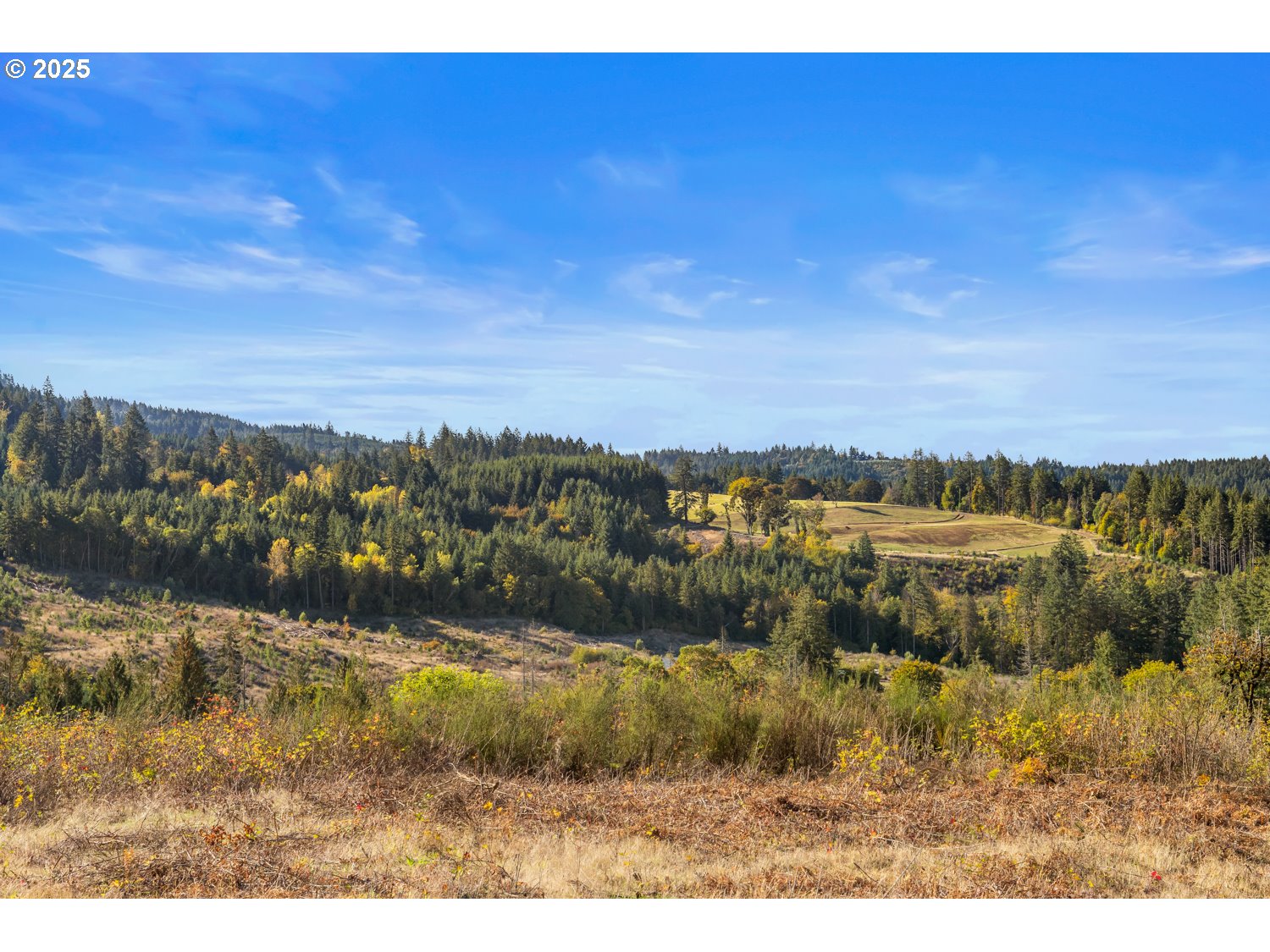 37251 SW THIMBLEBERRY DR, Gaston, OR, 97119