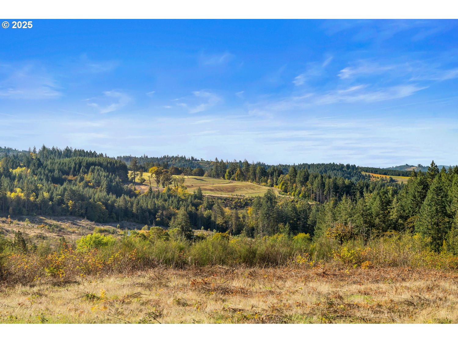 37251 SW THIMBLEBERRY DR, Gaston, OR, 97119