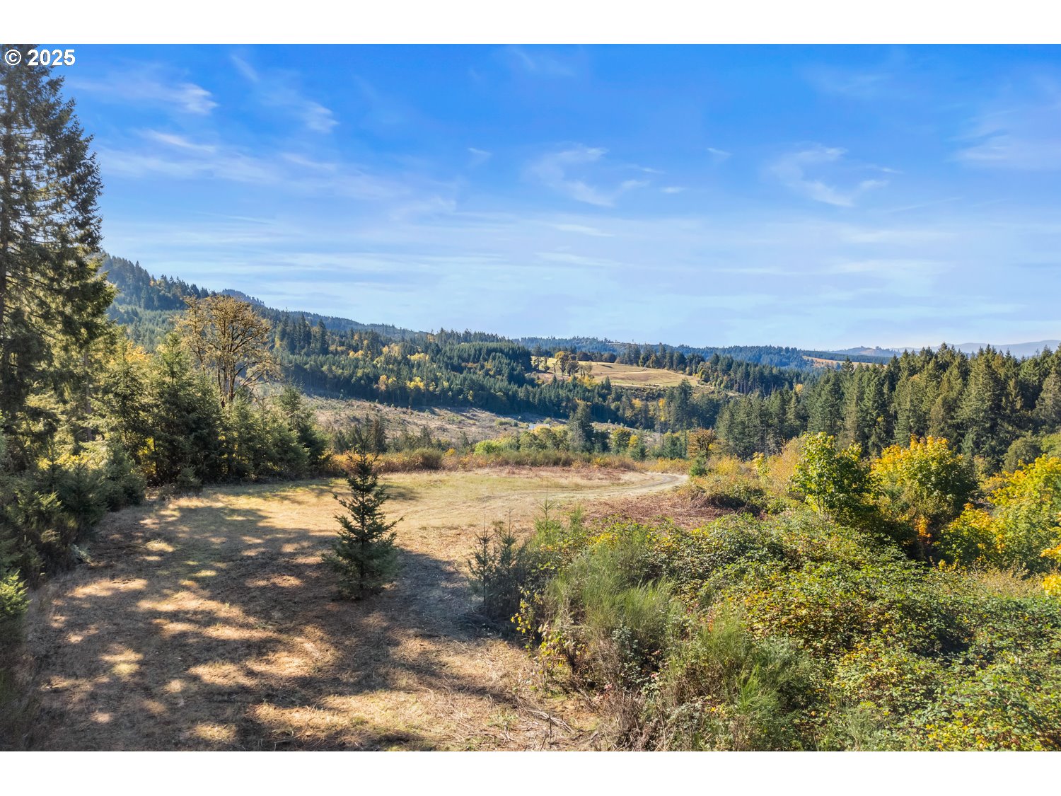 37251 SW THIMBLEBERRY DR, Gaston, OR, 97119