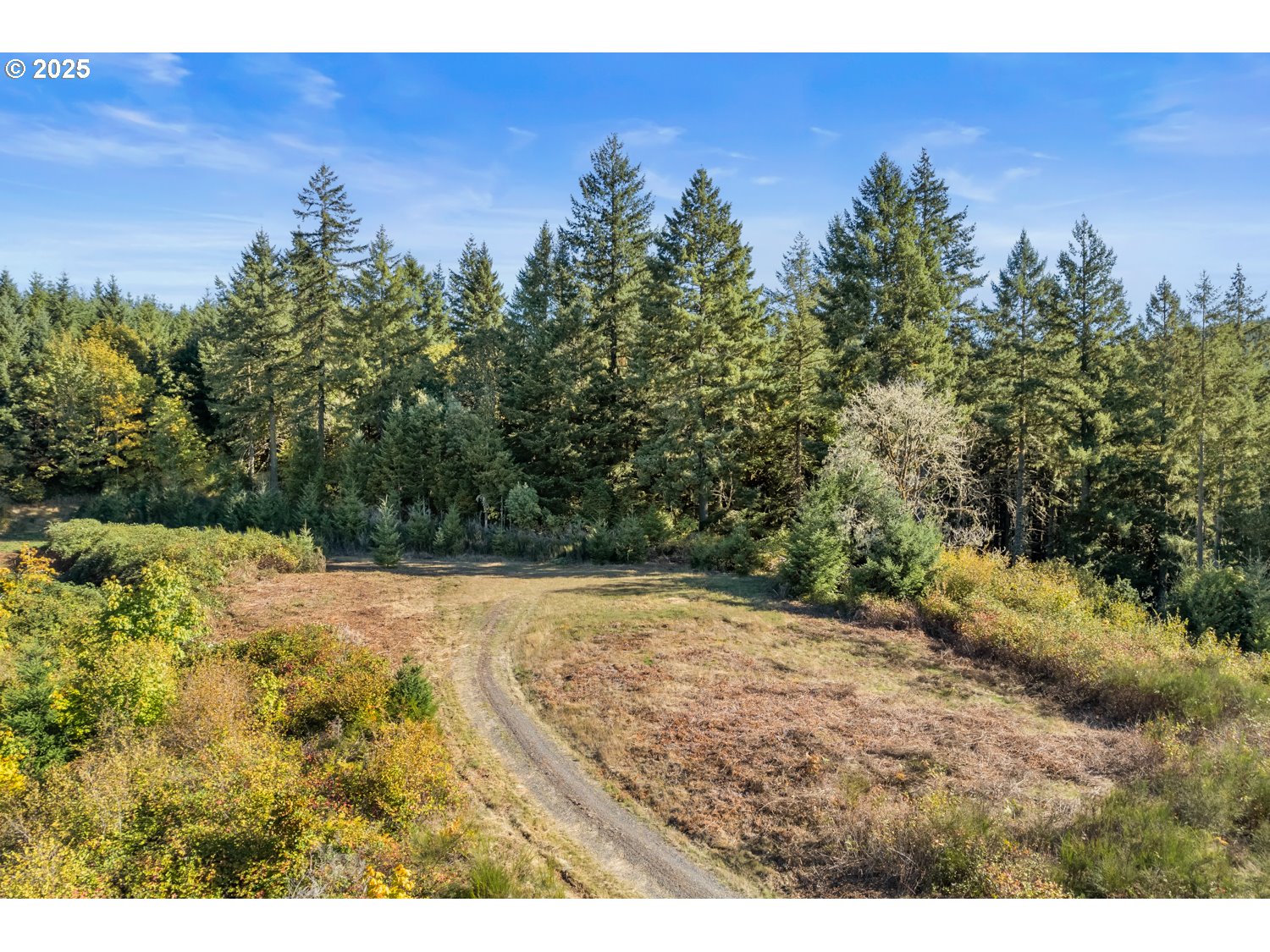 37251 SW THIMBLEBERRY DR, Gaston, OR, 97119