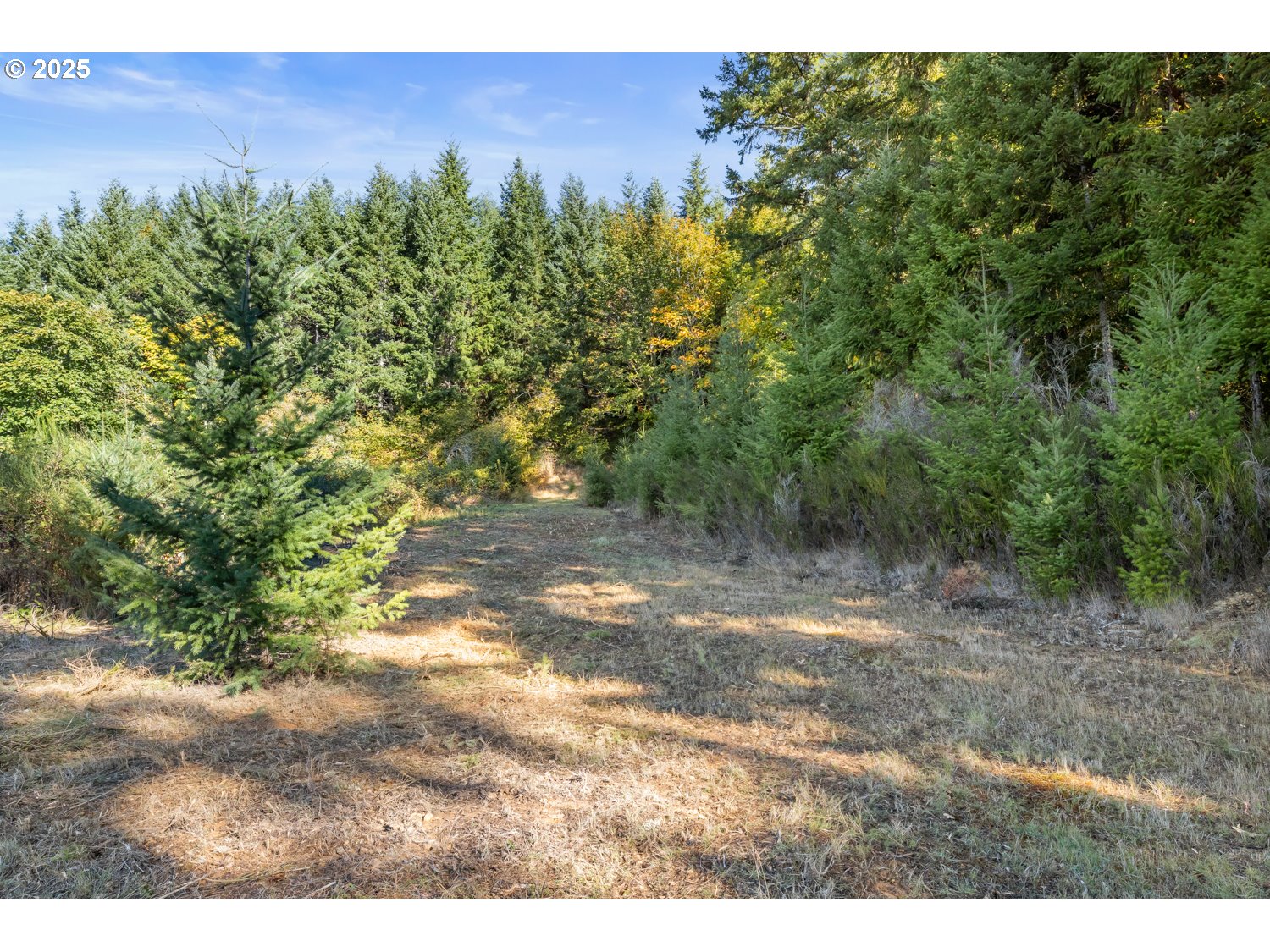 37251 SW THIMBLEBERRY DR, Gaston, OR, 97119