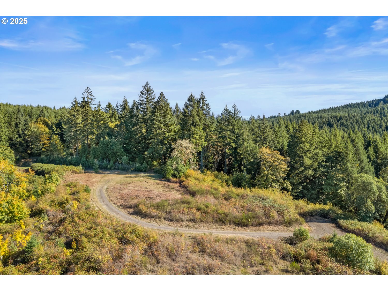 37251 SW THIMBLEBERRY DR, Gaston, OR, 97119