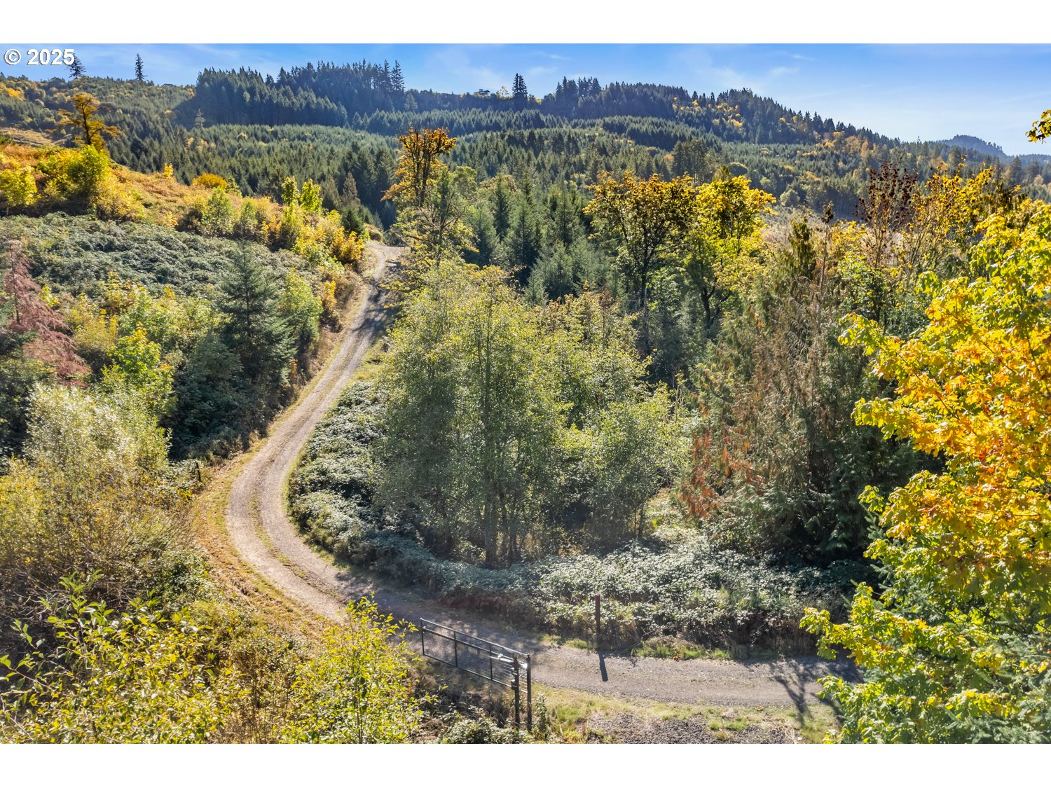 37251 SW THIMBLEBERRY DR, Gaston, OR, 97119