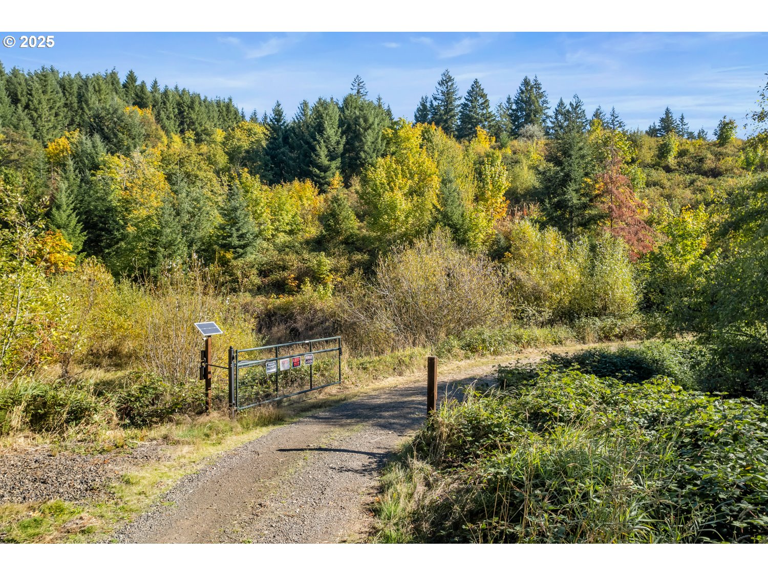37251 SW THIMBLEBERRY DR, Gaston, OR, 97119