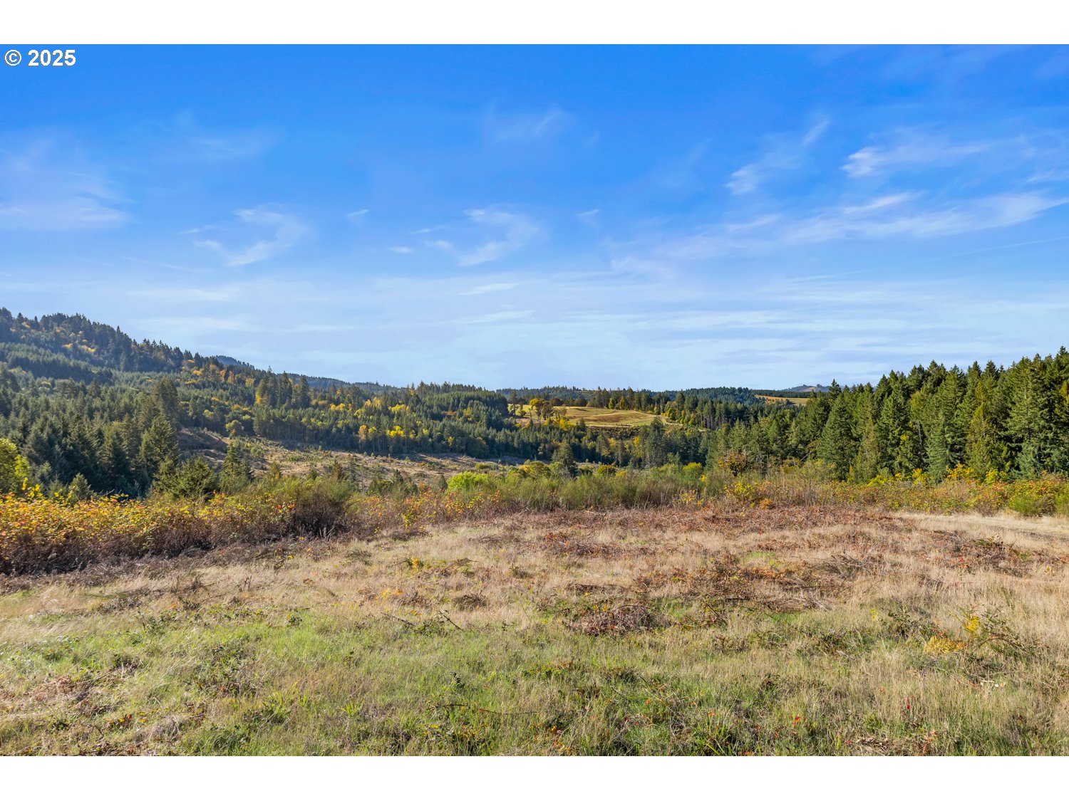 37251 SW THIMBLEBERRY DR, Gaston, OR, 97119