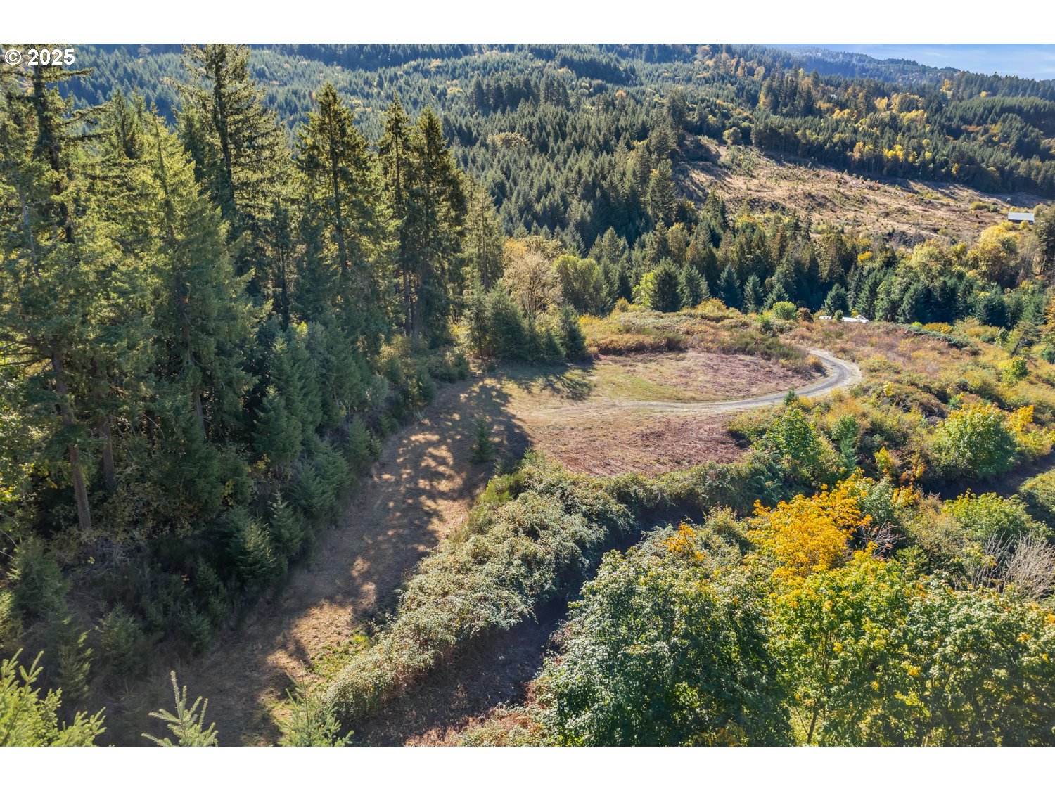 37251 SW THIMBLEBERRY DR, Gaston, OR, 97119