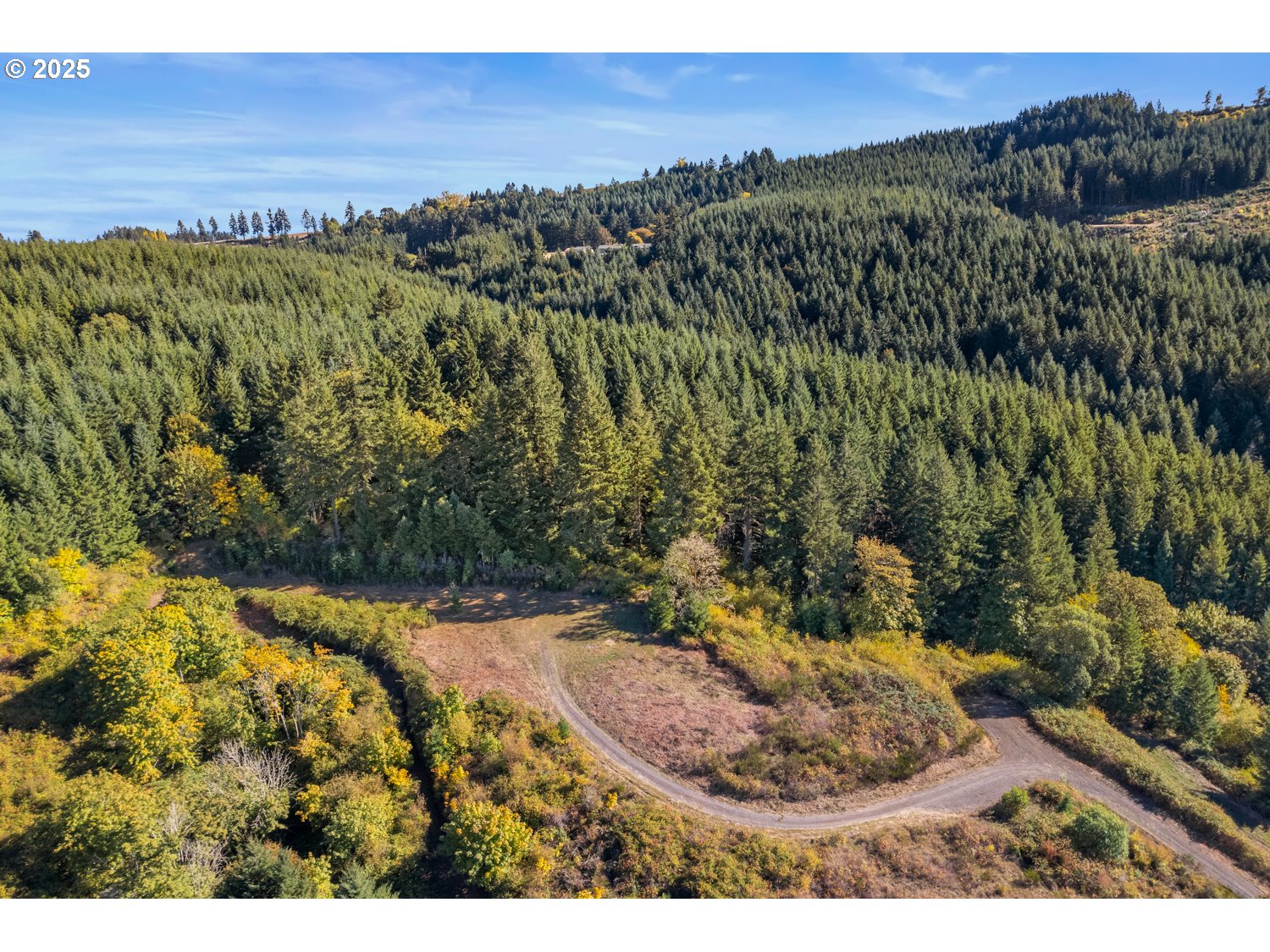 37251 SW THIMBLEBERRY DR, Gaston, OR, 97119