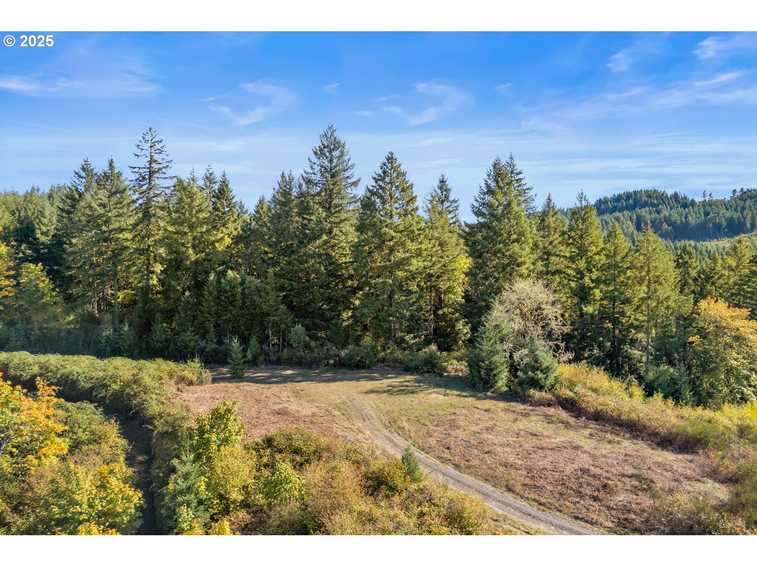 37251 SW THIMBLEBERRY DR, Gaston, OR, 97119