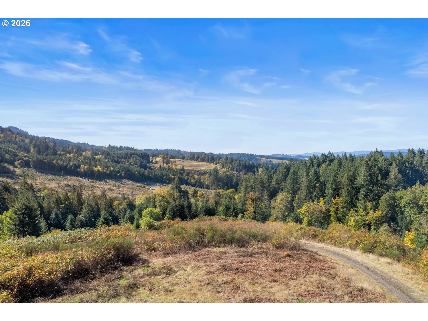37251 SW THIMBLEBERRY DR, Gaston, OR, 97119