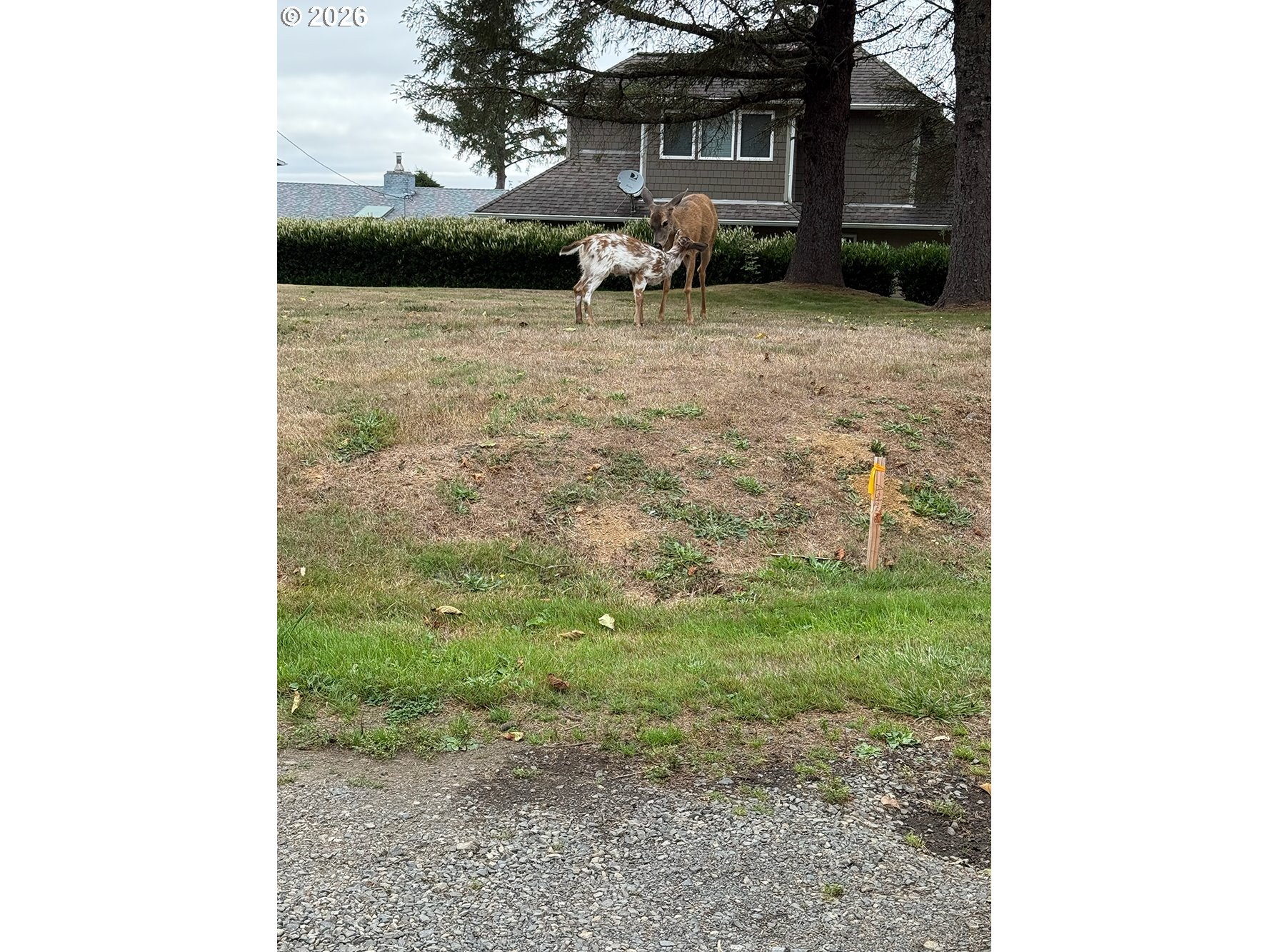 6600 NE Jones LOOP, Neotsu, OR, 97364