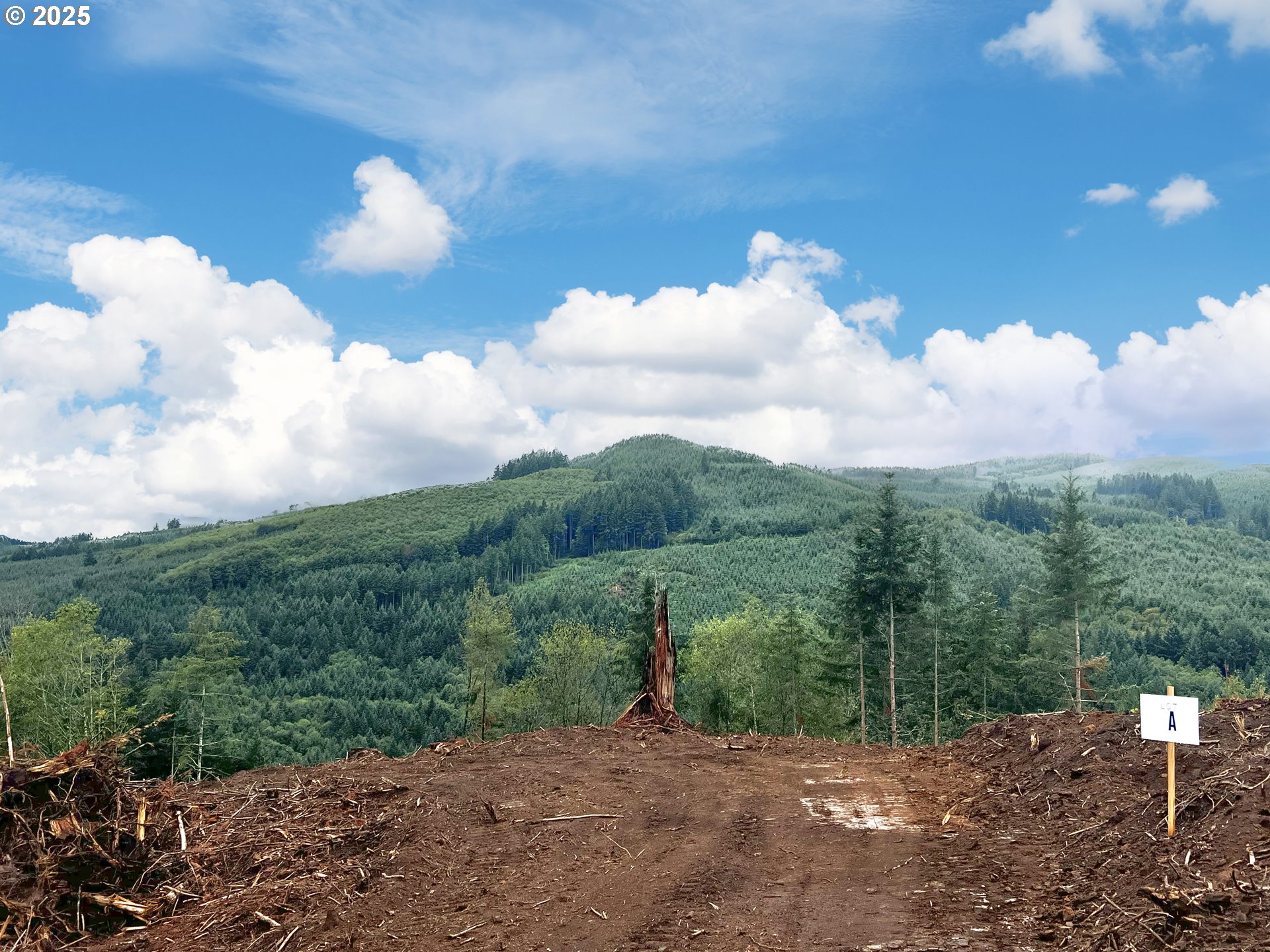 2670 SE 174TH AVE, Portland, OR, 97236 2670 SE 174TH AVE, Portland, OR, 97236