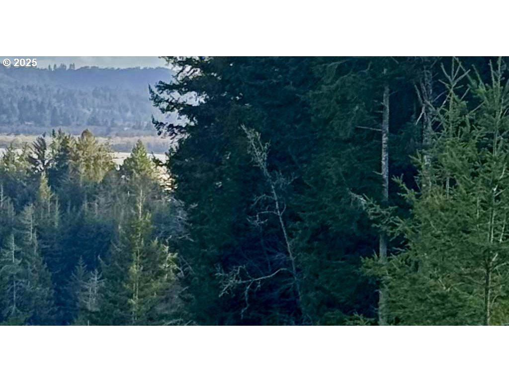 Search Homes for Sale