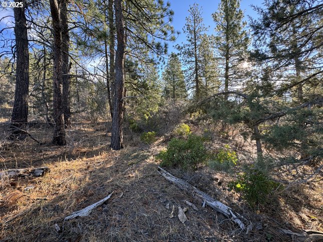 Search Homes for Sale