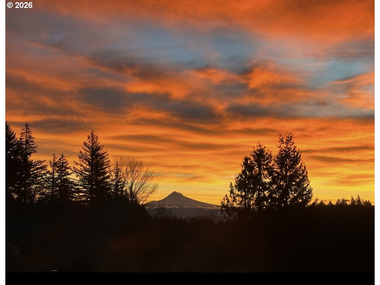 Photo #21: 590915241 Listing: Photo #21