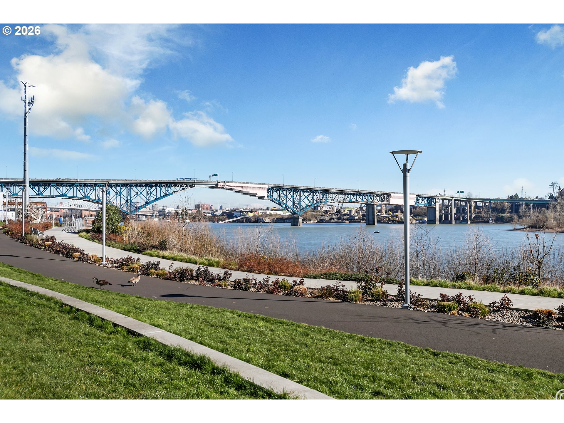 Photo #28: 591761387 Listing: Photo #28