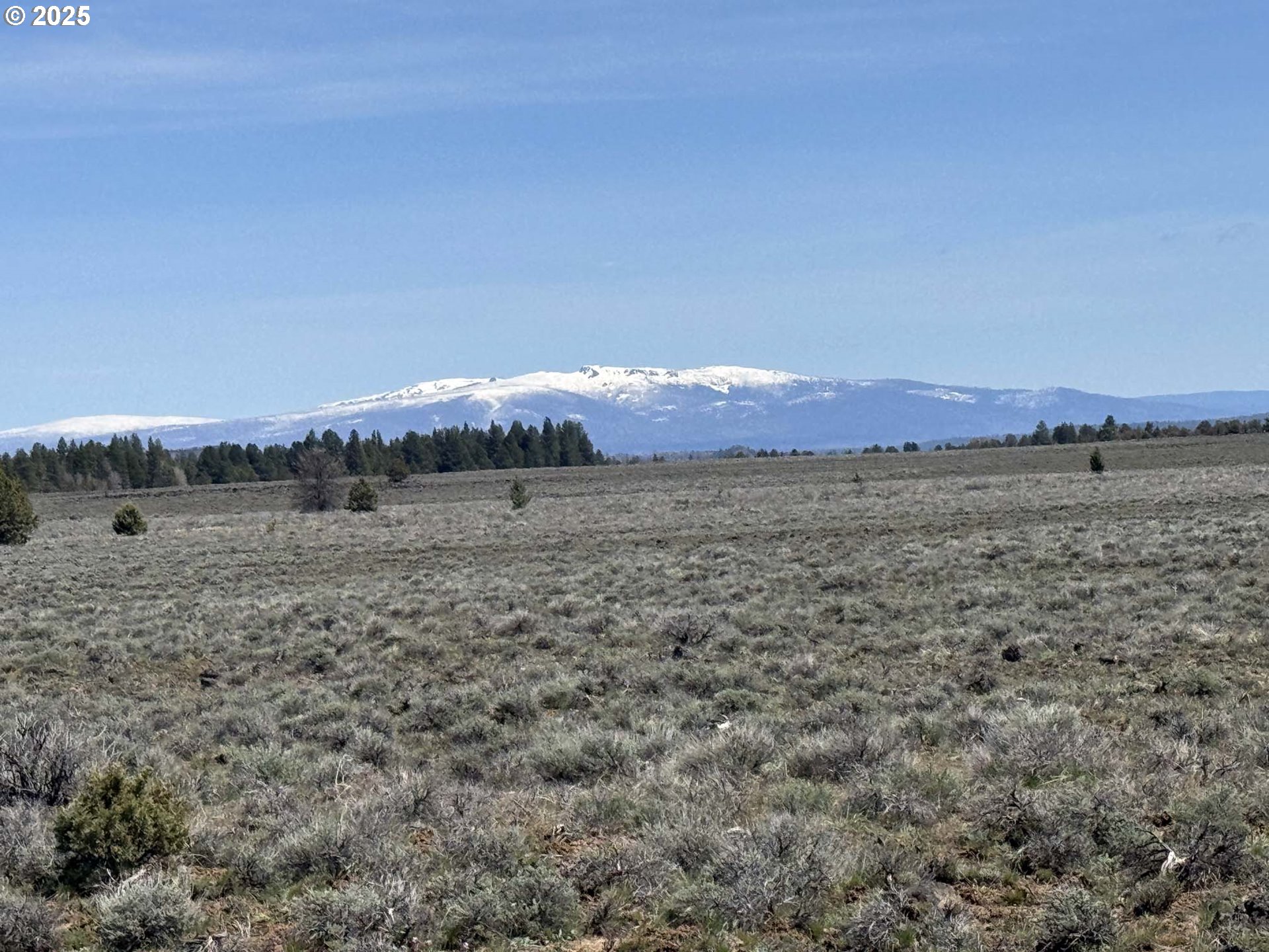 Search Homes for Sale