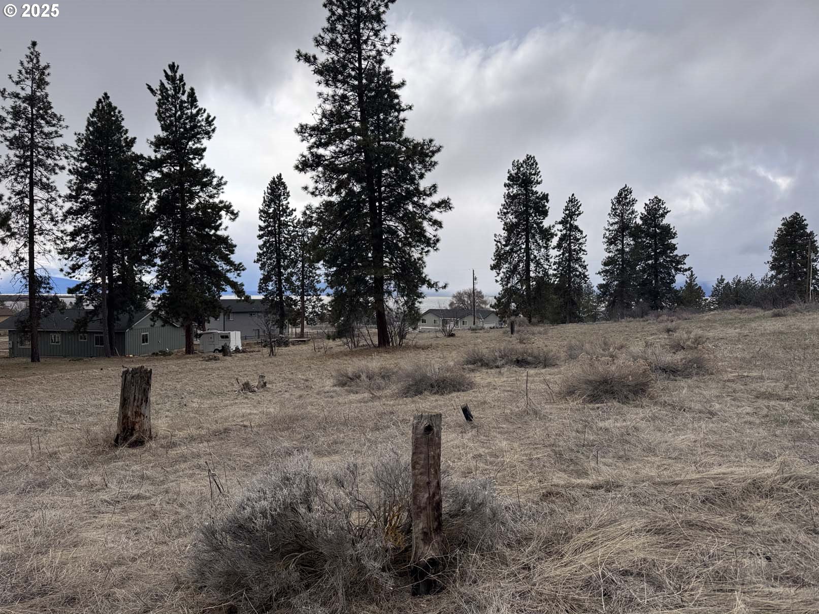 Search Homes for Sale