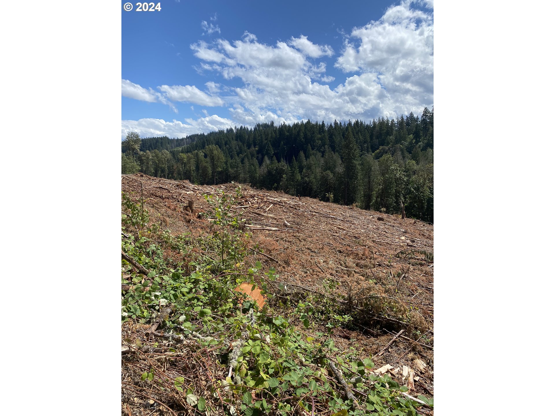 S Hult RD, Beavercreek, OR, 97004