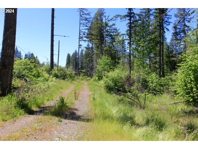 S Hult RD, Beavercreek, OR, 97004