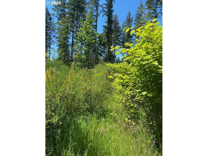 S Hult RD, Beavercreek, OR, 97004