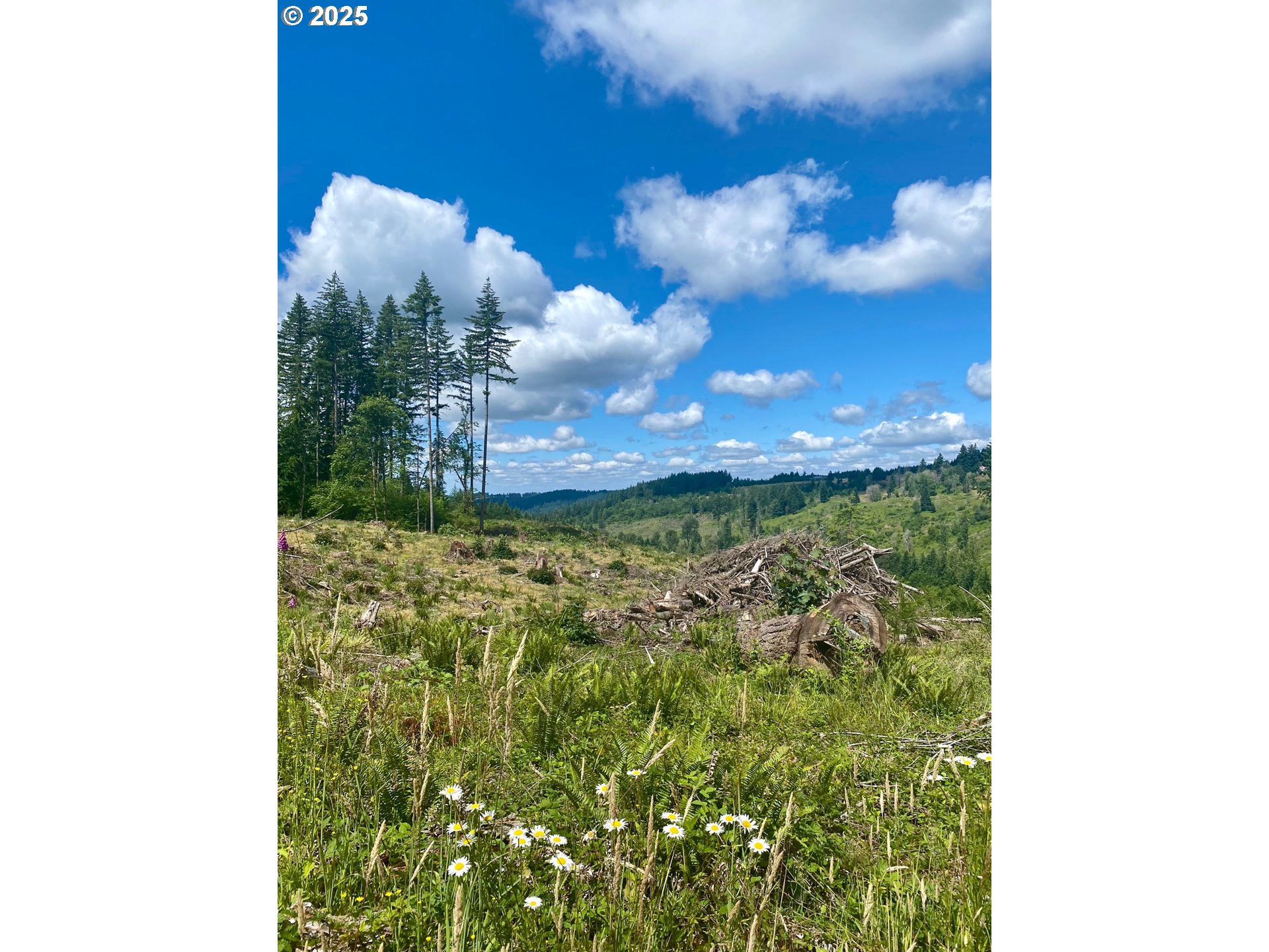S Hult RD, Beavercreek, OR, 97004