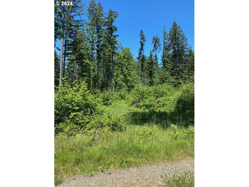 S Hult RD, Beavercreek, OR, 97004