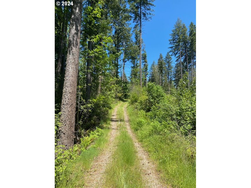 S Hult RD, Beavercreek, OR, 97004