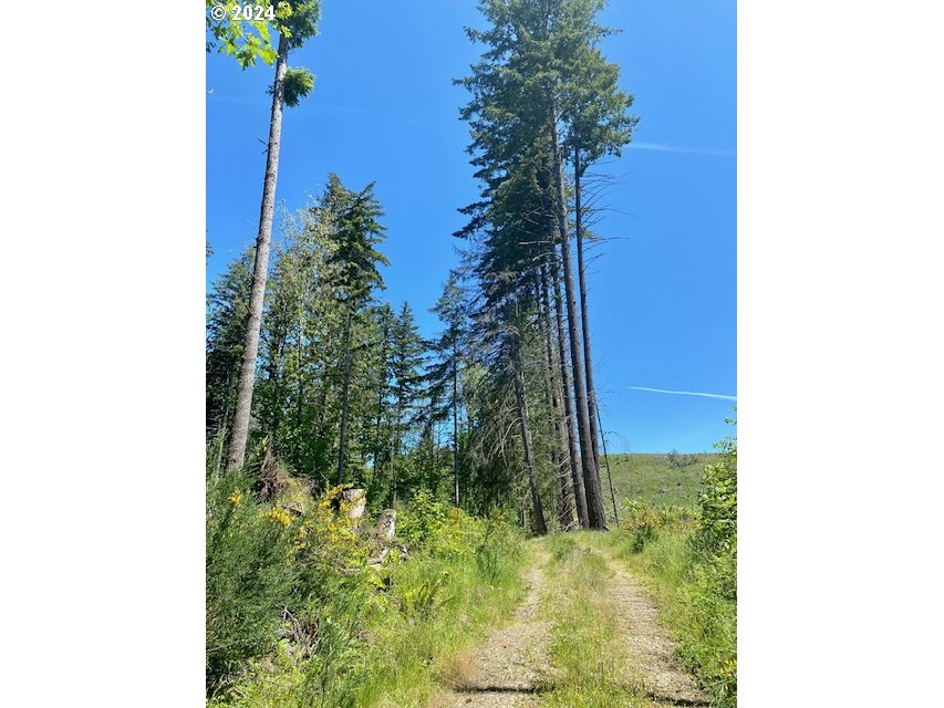 S Hult RD, Beavercreek, OR, 97004