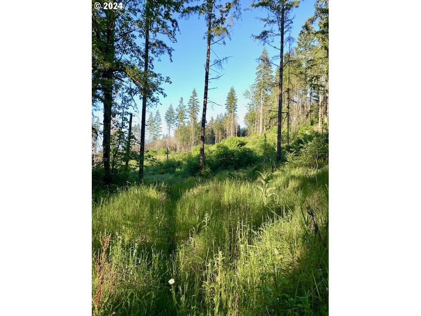 S Hult RD, Beavercreek, OR, 97004