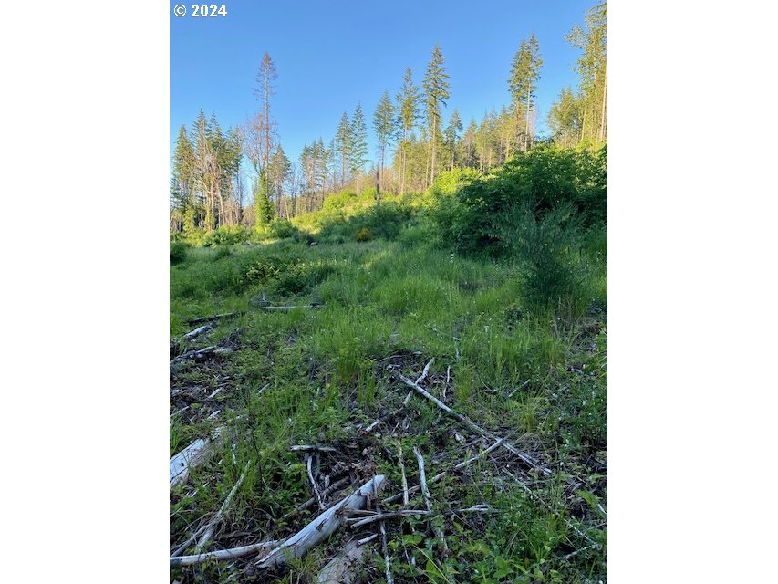 S Hult RD, Beavercreek, OR, 97004