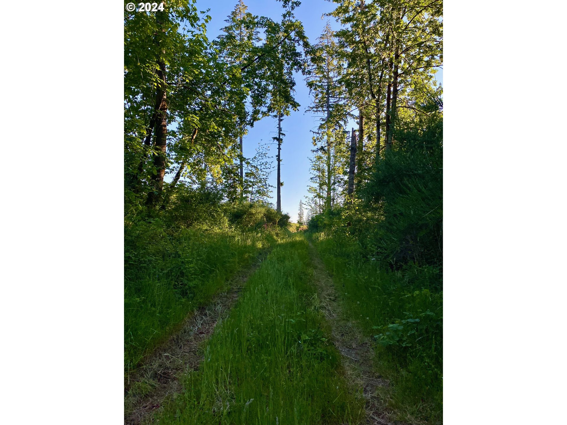S Hult RD, Beavercreek, OR, 97004
