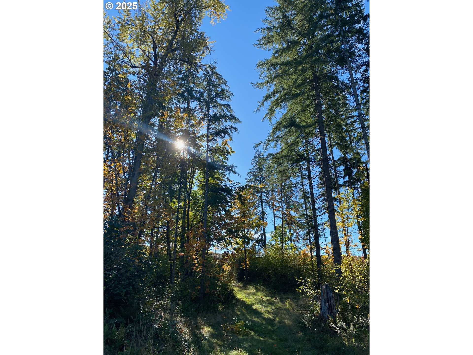 S Hult RD, Beavercreek, OR, 97004
