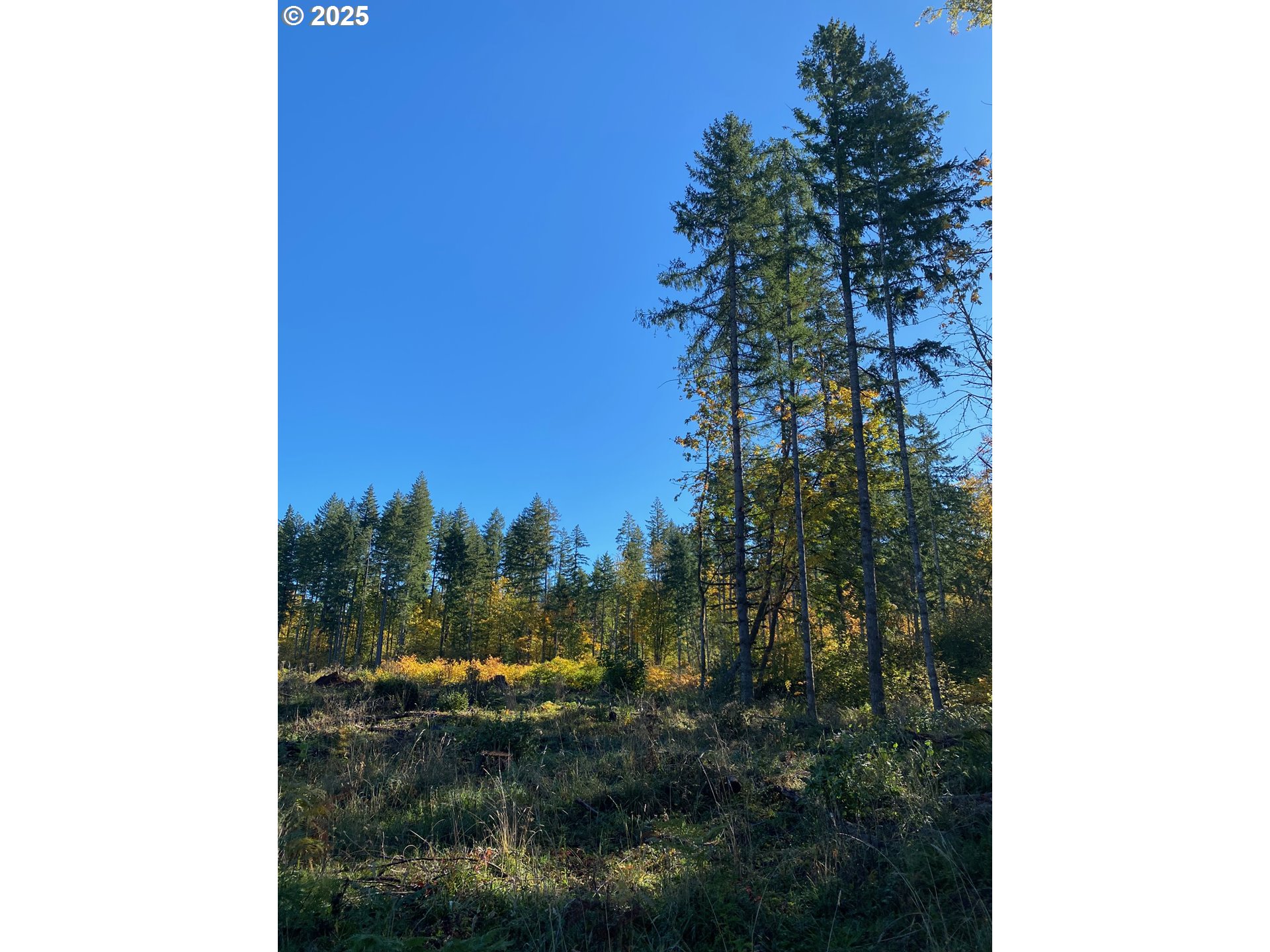 S Hult RD, Beavercreek, OR, 97004