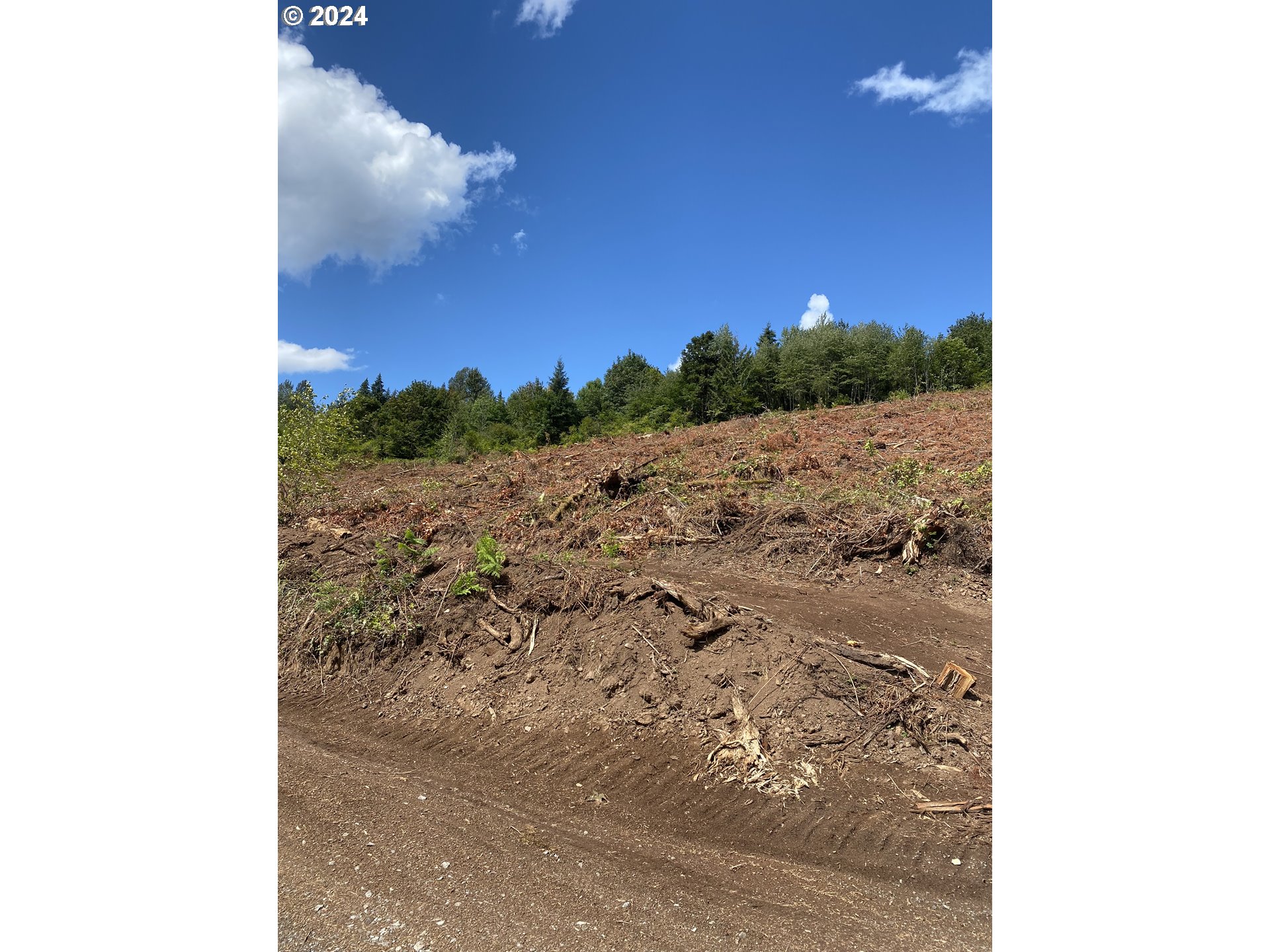 S Hult RD, Beavercreek, OR, 97004