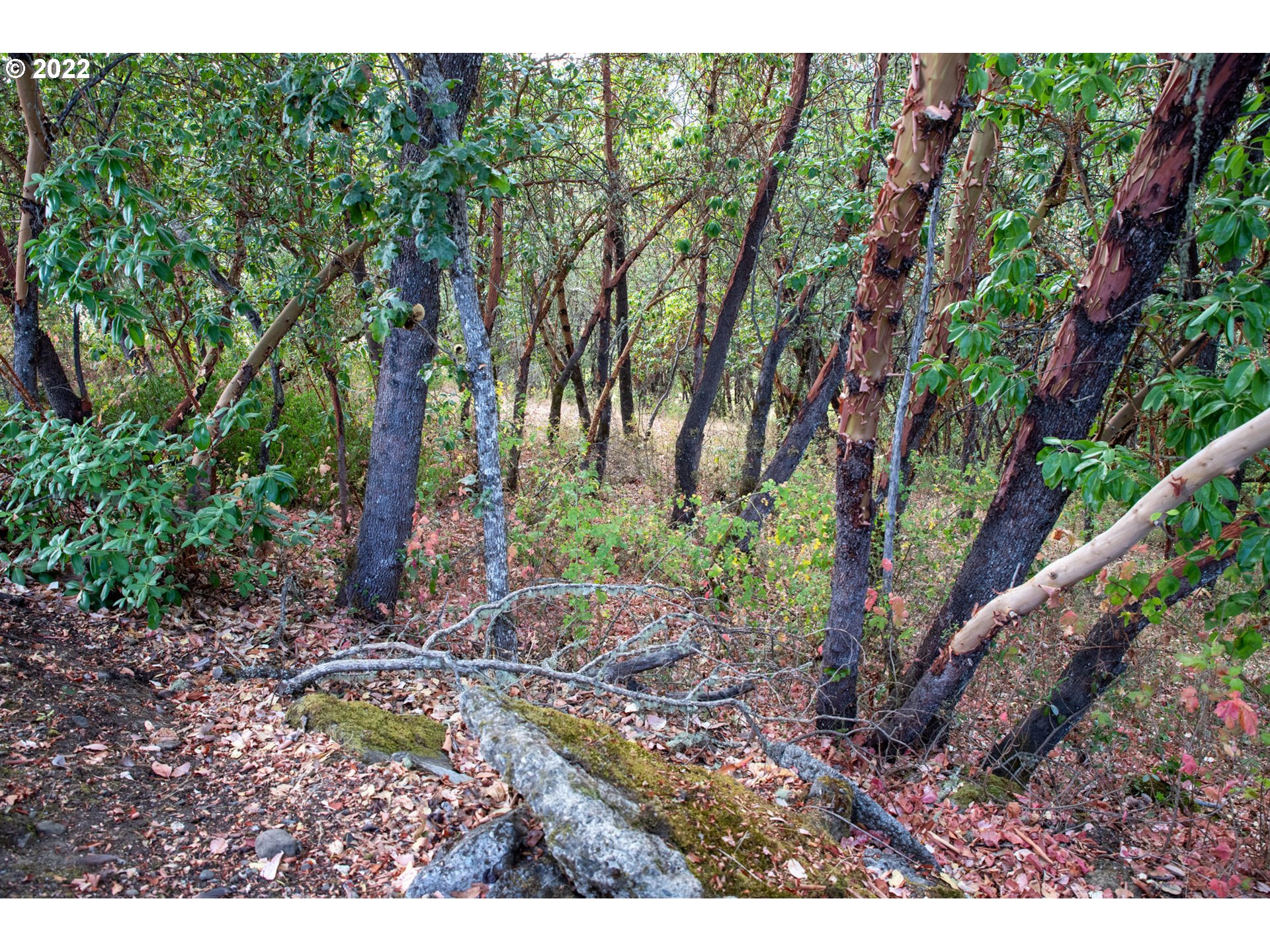 Search Homes for Sale