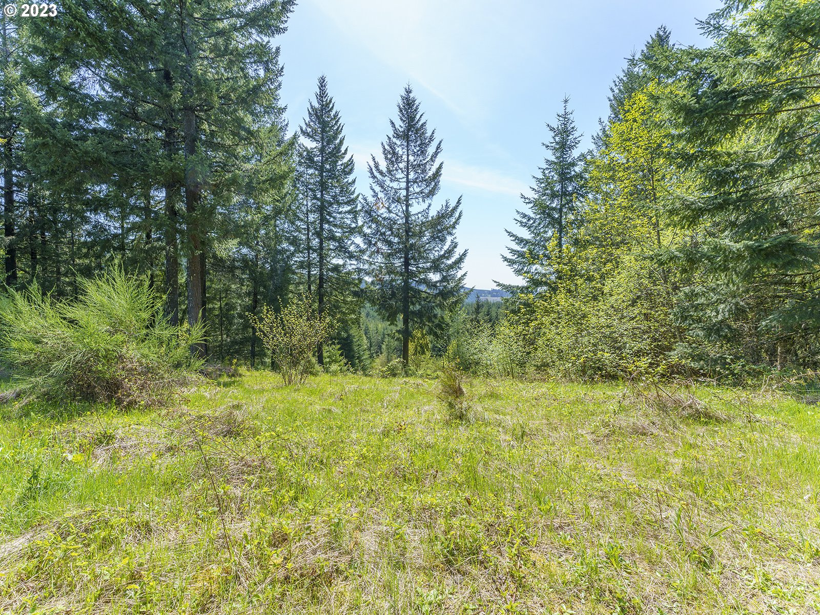 Homes on Acreage
